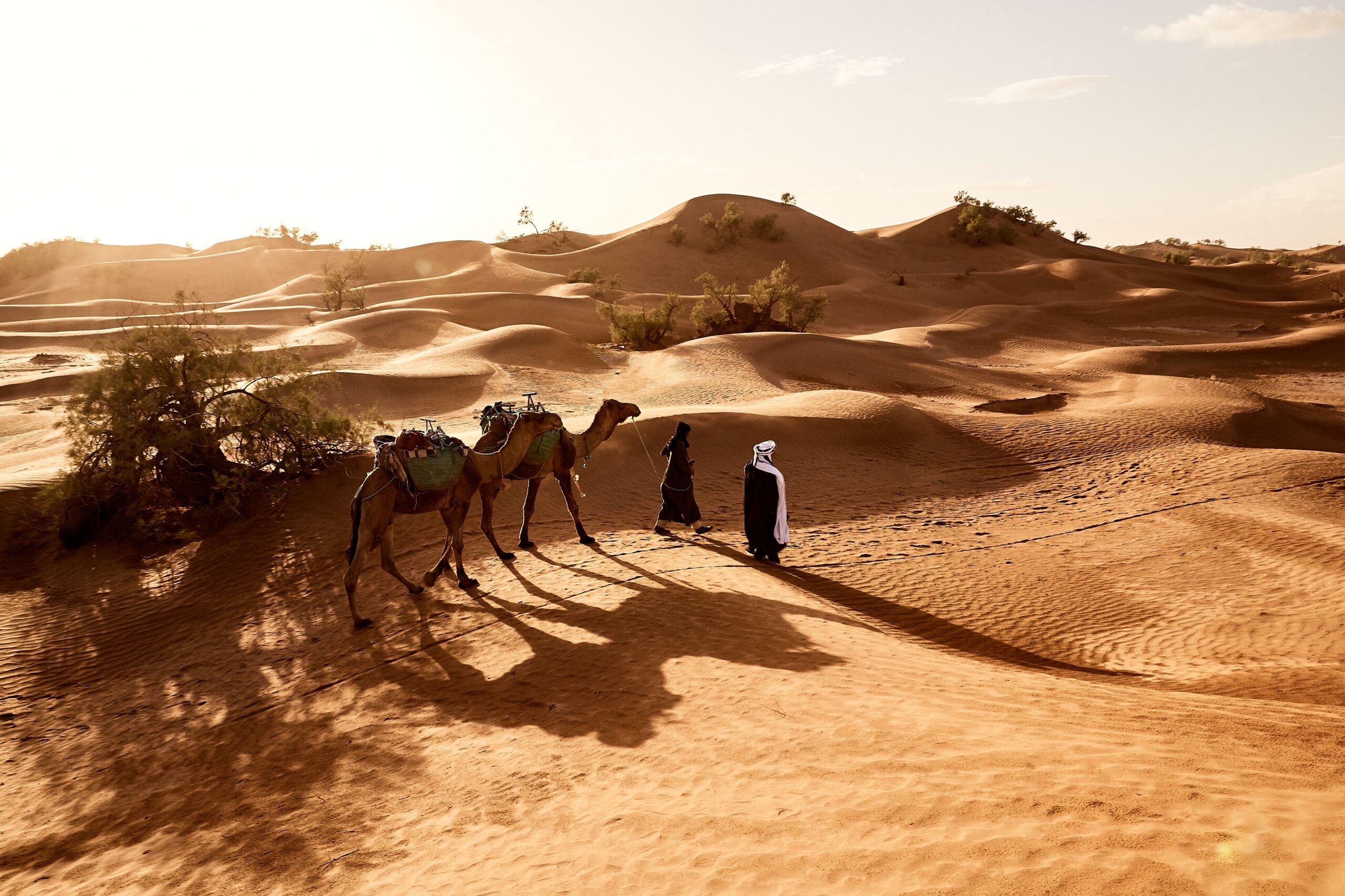 A beautiful shot of people walking with their camels in the desert of Erg Lihoudi in Morocco