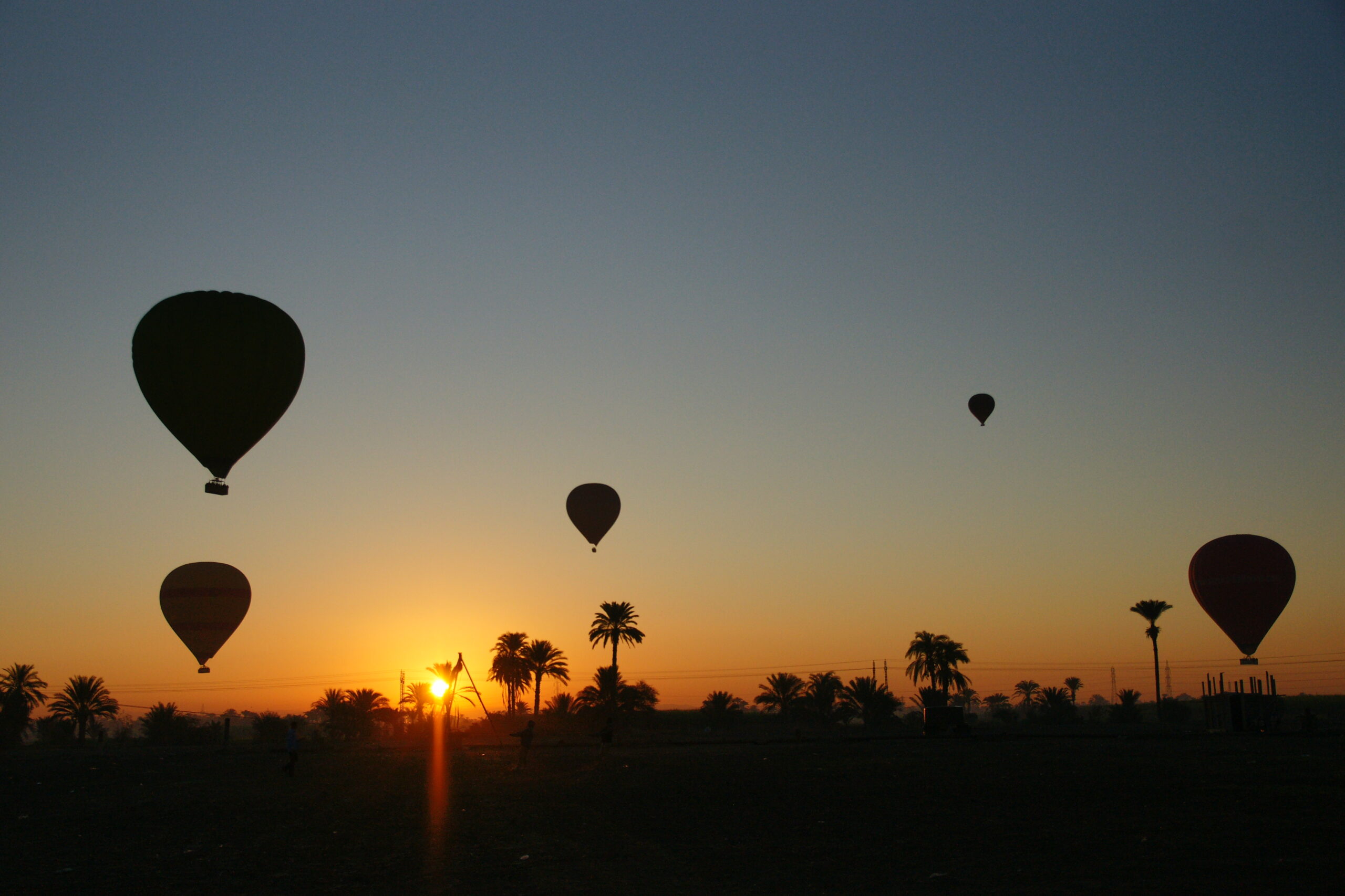 Hot Air Balloons Rise Over Egyptian Palm Trees at Sunrise, Silhouetted Against a Clear Sky in a Peaceful Desert Landscape